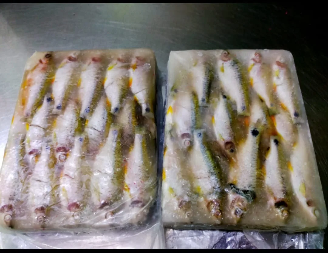 Fish